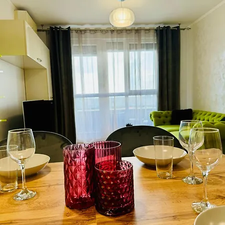 Joy Forest 84 * Timişoara