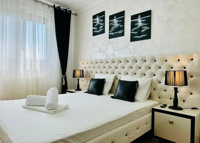 Joy Forest 84 Timisoara