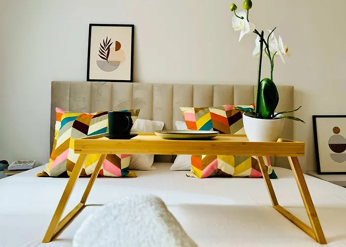 Joy Forest 84 * Timisoara