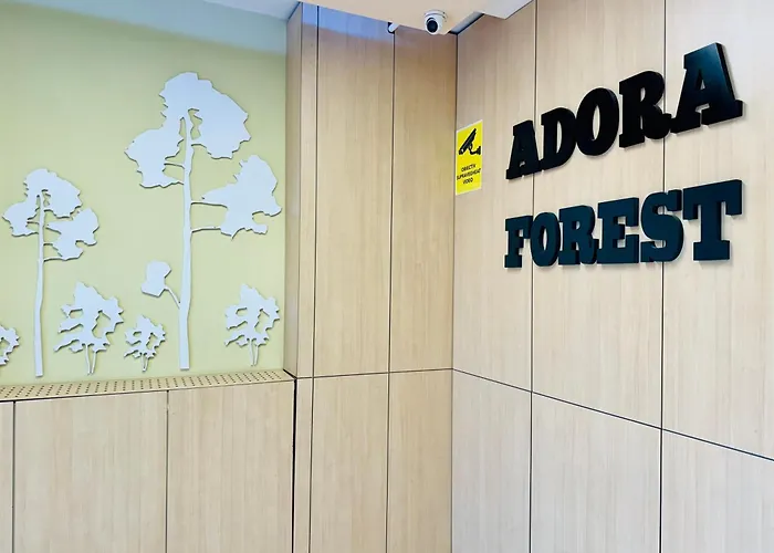 Joy Forest 84 Apartment Timisoara